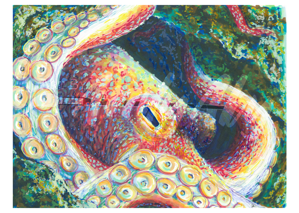 A colorful painted close-up of an octopus with large suction cups and a detailed eye, rendered in vivid blues, greens, reds, oranges, and yellows.