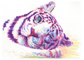 A stylized digital painting of a white tiger lying down, rendered with vibrant pink, purple, blue, and yellow brushstroke effects on a white background.
